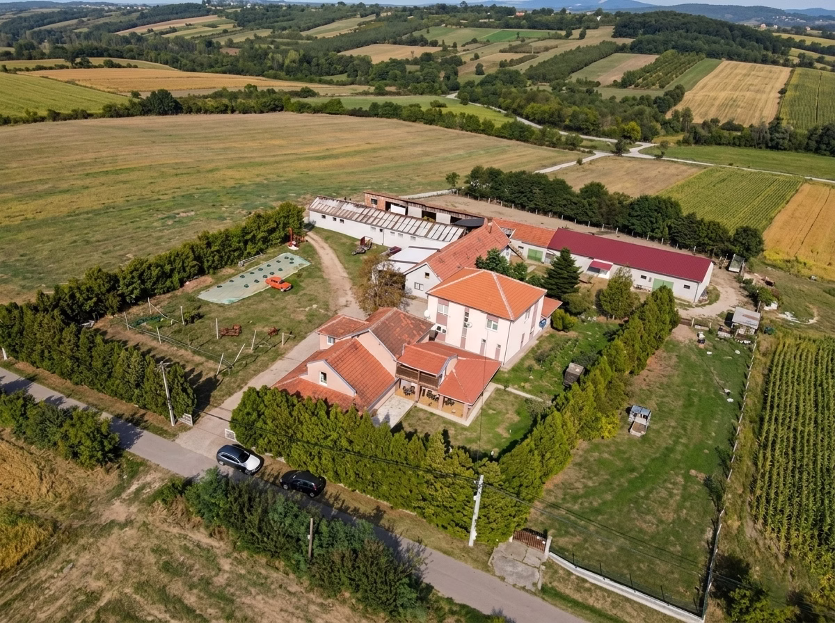 Domaći specijalitet 8